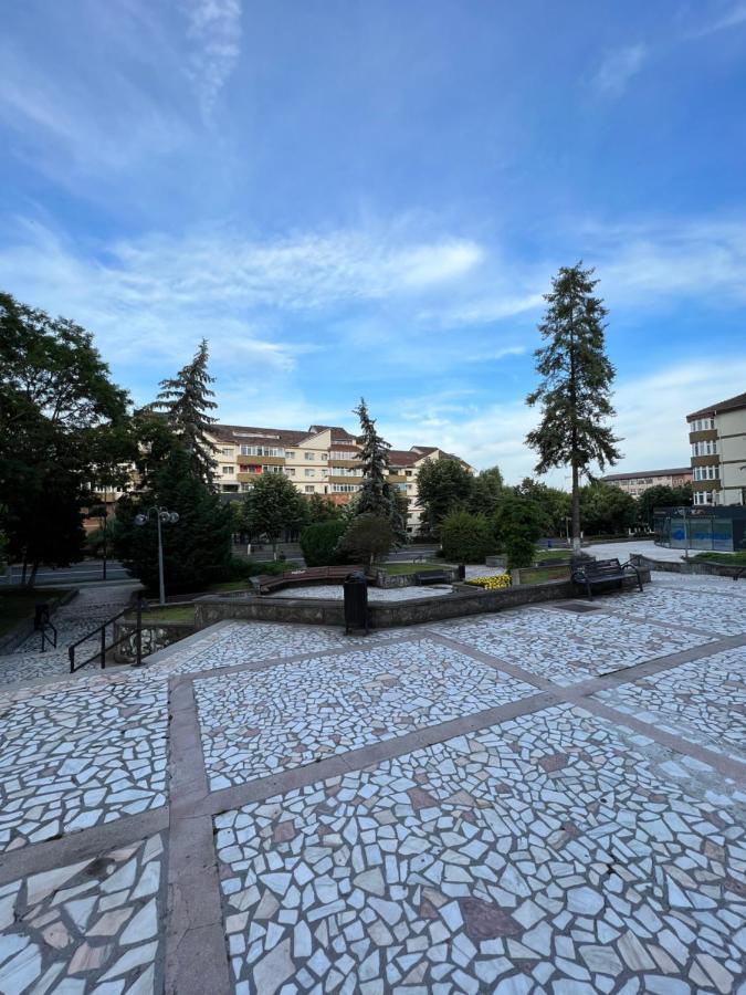 Apartament Centru Ramnicu Valcea Bagian luar foto